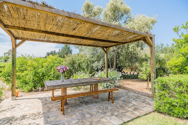 Foto van Rustiek Landhuis voor 4 - Vakantiehuis in Pollensa / Pollença - Facilities
