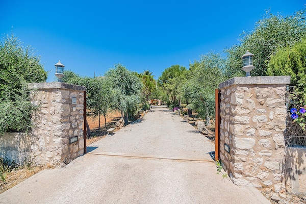 Foto van Villa met privézwembad in Pollensa - Vakantiehuis in Pollensa / Pollença - HallReception