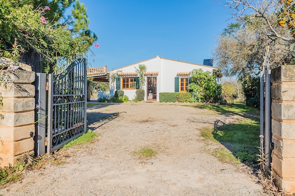 Foto van Vakantieverblijf in de bergen met privézwembad - Vakantiehuis in Pollensa / Pollença - HallReception