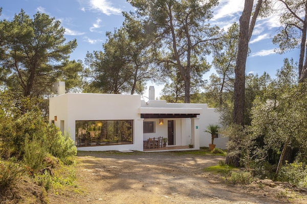 Foto van Vakantiehuis met privé zwembad - Vakantiehuis in Santa Gertrudis - ExteriorSummer