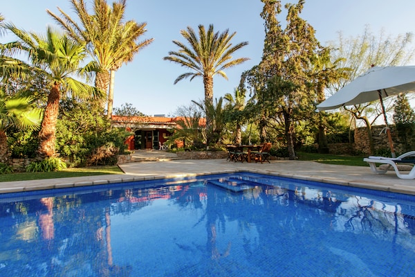 Foto van Vakantiehuis in St. Josep de sa Talaia met zwembad - ExteriorSummer