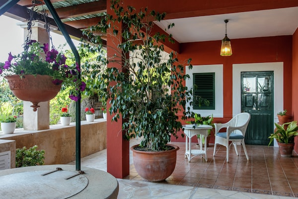 Foto van Vakantiehuis in St. Josep de sa Talaia met zwembad - TerraceBalcony