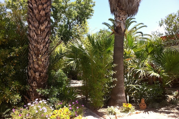 Foto van Vakantiehuis in St. Josep de sa Talaia met zwembad - GardenSummer