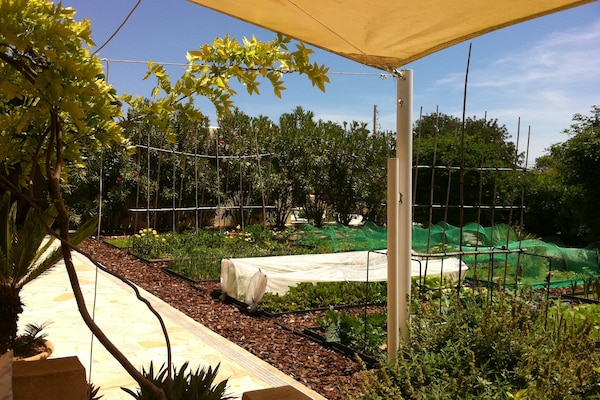 Foto van Vakantiehuis in St. Josep de sa Talaia met zwembad - GardenSummer