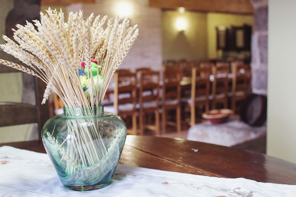 Foto van Landhuis in Maians met privézwembad - Vakantiehuis in Maians-Castellfollit del Boix - Ambiance