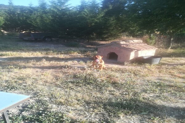 Foto van Vrijstaand landelijk gelegen landhuis de 19e eeuw - Vakantiehuis in Calonge de Segarra - AreaSummer1KM