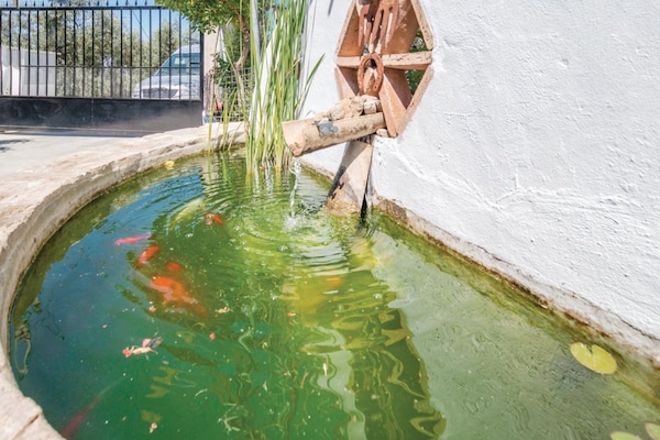 Foto van El Viso House met gezellig zwembad - Vakantiehuis in Rute - Ambiance