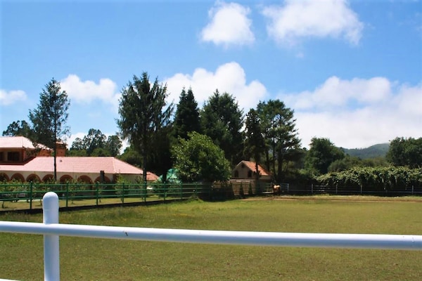 Foto van Villa in Narón bij Pantín Strand en Golf - Vakantiehuis in O Val, Narón - GardenSummer