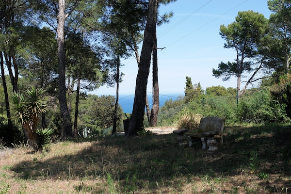 Foto van Vakantiehuis met zwembad in Begur - Vakantiehuis in Begur - AreaSummer1KM