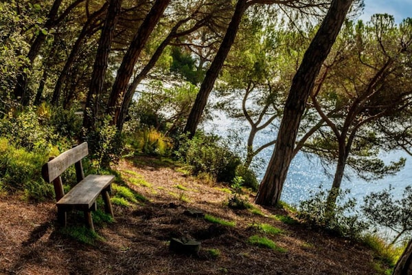 Foto van Villa in Costa Brava met Privézwembad - Vakantiehuis in Lloret de Mar - AreaSummer20KM