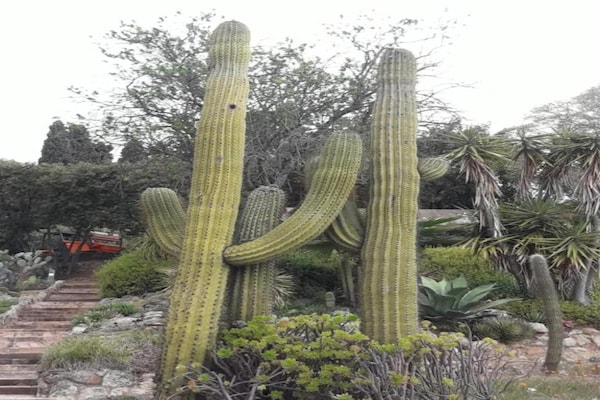 Foto van Prachtige villa nabij Lloret de Mar - Vakantiehuis in Vidreres - AreaSummer20KM