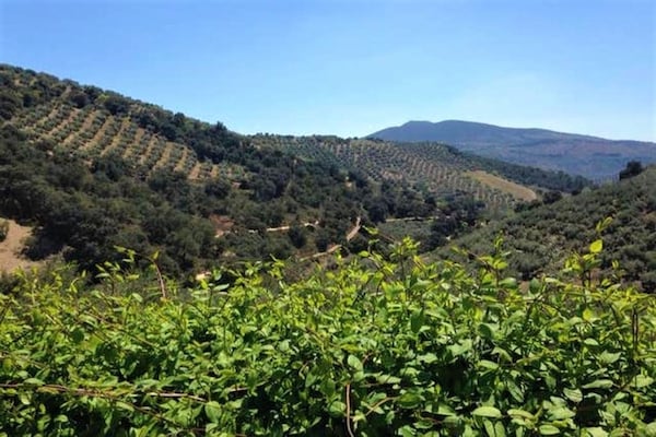 Foto van Cottage in Andalusië bij Sierras Subbéticas - Vakantiehuis in Andalucía - ViewSummer
