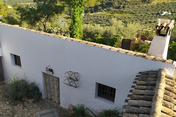 Foto van Boerderij bij Iznajar Meer - Vakantiehuis in Fuentes de Cesna - ExteriorSummer