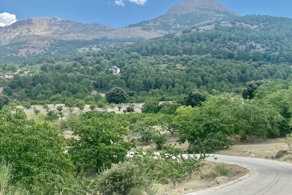 Foto van Villa in Torres met zwembad bij Sierra Mágina - Vakantiehuis in Torres - Ambiance