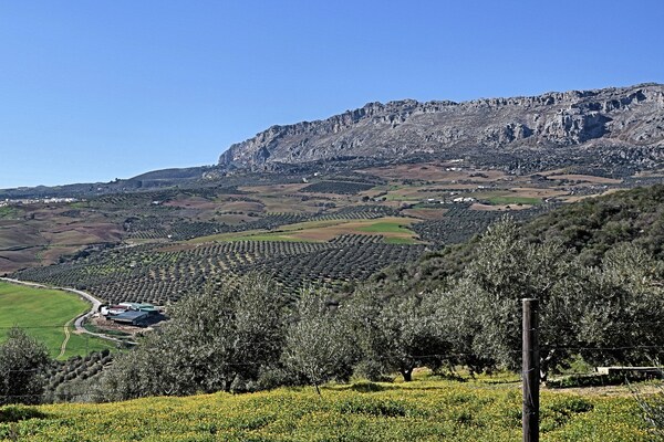 Foto van Verblijf op het Andalusische platteland - Vakantiehuis in Villanueva de la Concepción - AreaSummer1KM