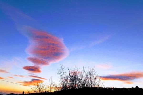 Foto van Verblijf op het Andalusische platteland - Vakantiehuis in Villanueva de la Concepción - AreaSummer20KM
