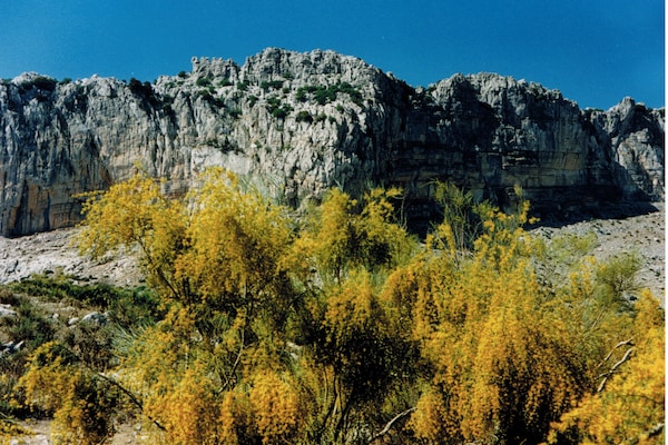 Foto van Vakantiehuis bij El Torcal Villanueva - Vakantiehuis in Antequera - AreaSummer20KM