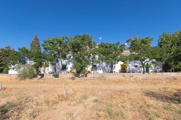 Foto van Boerderij met zwembad in Andalusië - Vakantiehuis in Bobadilla - Antequera - ExteriorSummer