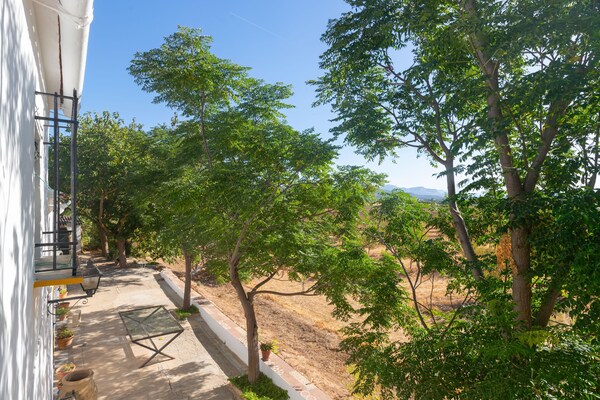 Foto van Boerderij met zwembad in Andalusië - Vakantiehuis in Bobadilla - Antequera - ViewSummer