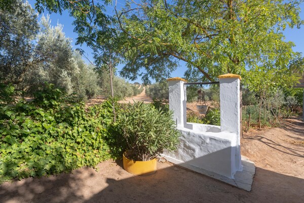 Foto van Boerderij met zwembad in Andalusië - Vakantiehuis in Bobadilla - Antequera - Facilities