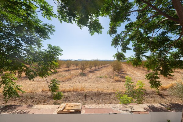 Foto van Boerderij met zwembad in Andalusië - Vakantiehuis in Bobadilla - Antequera - AreaSummer5KM