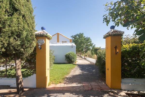 Foto van Boerderij met zwembad in Andalusië - Vakantiehuis in Bobadilla - Antequera - ExteriorSummer
