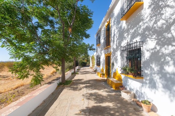 Foto van Boerderij met zwembad in Andalusië - Vakantiehuis in Bobadilla - Antequera - ExteriorSummer