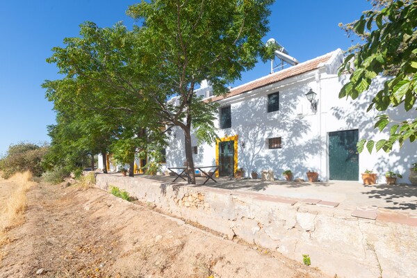 Foto van Boerderij met zwembad in Andalusië - Vakantiehuis in Bobadilla - Antequera - ExteriorSummer