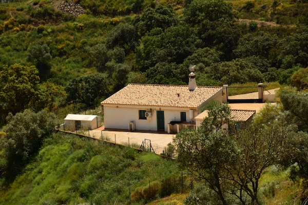 Foto van Villa in Malaga, privézwembad en zeezicht - Vakantiehuis in Cartama - ViewWinter
