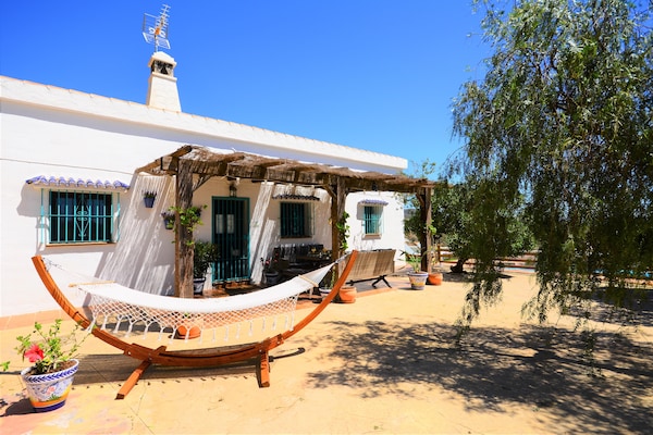 Foto van Villa in Malaga, privézwembad en zeezicht - Vakantiehuis in Cartama - ExteriorSummer