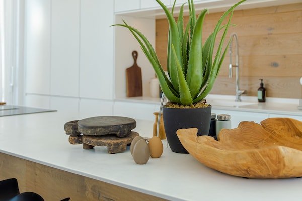 Foto van Luxe villa in Mijas Costa - Vakantiehuis in Mijas Costa - Kitchen