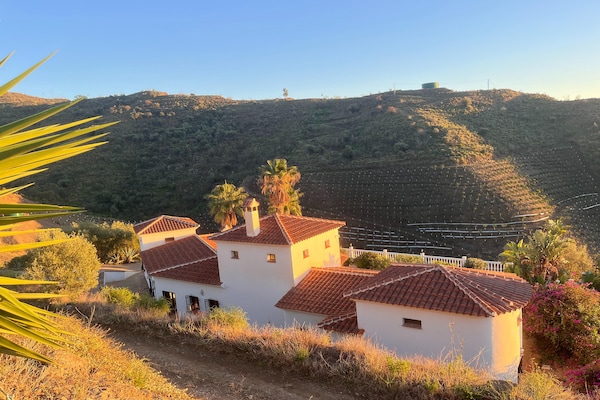 Foto van Zwembadretraite in Arenas - Vakantiehuis in Arenas - AreaSummer1KM