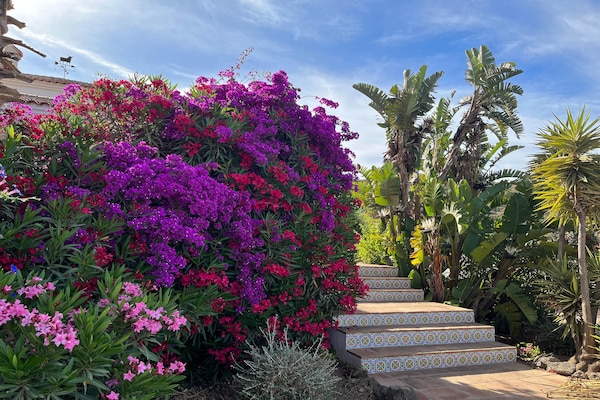Foto van Villa op de heuvel Torre del Mar - Vakantiehuis in Arenas - GardenSummer