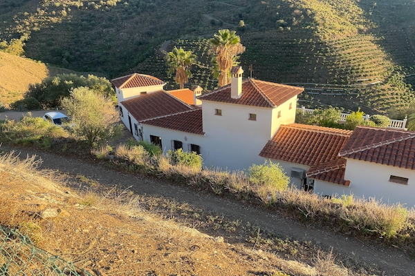 Foto van Villa op de heuvel Torre del Mar - Vakantiehuis in Arenas - ExteriorSummer