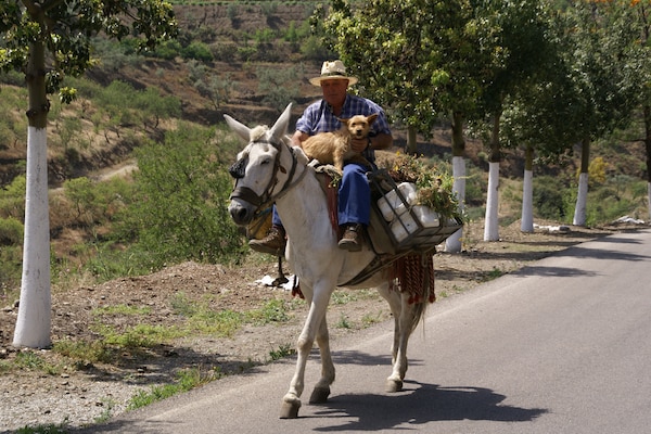 Foto van Villa Mariposa in zonnig Spanje - Vakantiehuis in Arenas - AreaSummer1KM