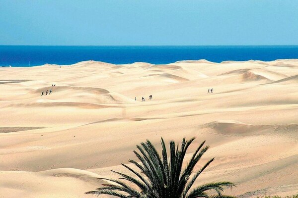 Foto van Villa in Salobre Golf met privézwembad - Vakantiehuis in San Bartolomé de Tirajana - AreaSummer20KM