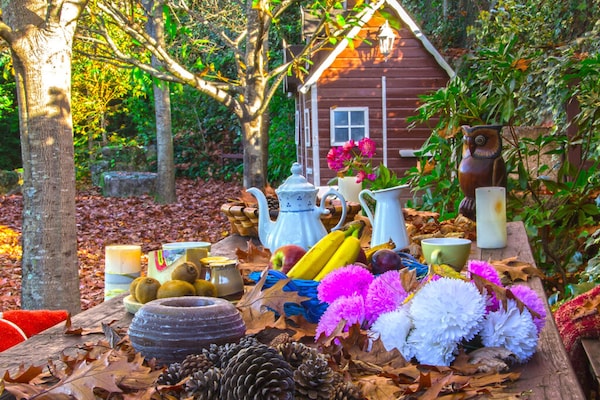Foto van Villa in A Lama bij Rías Baixas Stranden - Vakantiehuis in A Lama - GardenSummer