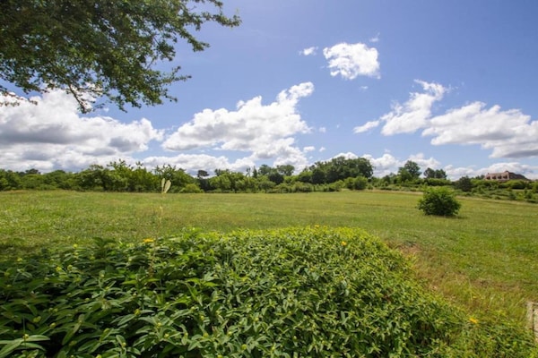 Foto van Rustiek chique landhuis - Vakantiehuis in Thenon - AreaSummer5KM