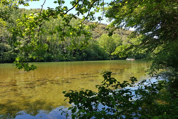 Foto van villa met privézwembad en omheinde - Vakantiehuis in Roquebrun - AreaSummer1KM