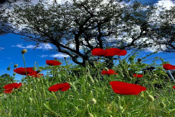 Foto van Villa nabij Les Vans met privézwembad - Vakantiehuis in Les Salelles - AreaSummer20KM