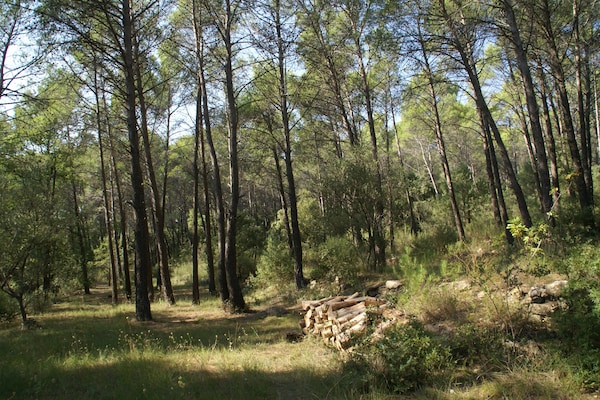 Foto van Villa in Provence met Zwembad en Uitzicht - Vakantiehuis in Saint-Antonin-du-Var - AreaSummer1KM