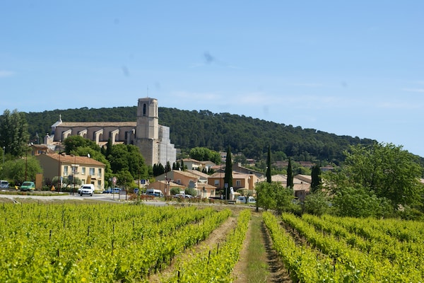 Foto van Villa in Provence met Zwembad en Uitzicht - Vakantiehuis in Saint-Antonin-du-Var - AreaSummer5KM