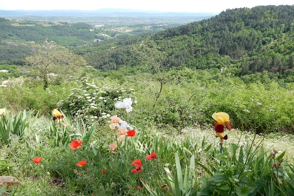 Foto van Verborgen toevluchtsoord in Chassiers - Vakantiehuis in Chassiers - AreaSummer5KM