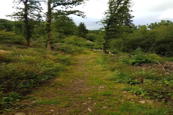 Foto van Verborgen toevluchtsoord in Chassiers - Vakantiehuis in Chassiers - AreaSummer20KM