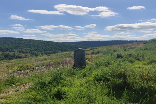 Foto van Verborgen toevluchtsoord in Chassiers - Vakantiehuis in Chassiers - AreaSummer20KM