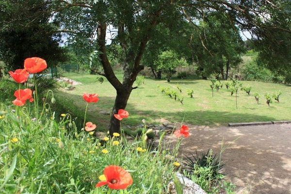 Foto van Elegante villa in Sainte Valière - Vakantiehuis in SAINTE VALIERE - AreaSummer20KM