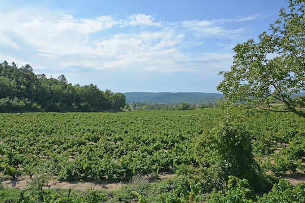 Foto van Royale villa met verwarmbaar zwembad met super glijbaan tussen strand en meer - AreaSummer5KM