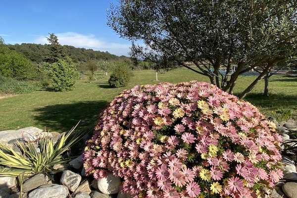 Foto van Rustige villa met zwembad - Vakantiehuis in Lézignan-Corbières - GardenSummer
