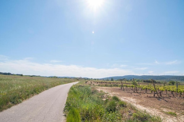 Foto van Zonnige ontsnapping naar sereniteit - Vakantiehuis in Fraissé-Des-Corbieres - AreaSummer20KM