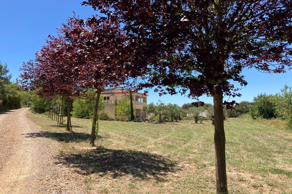 Foto van Wijngaard Villa Bliss - Vakantiehuis in Montbrun-des-Corbières - AreaSummer1KM